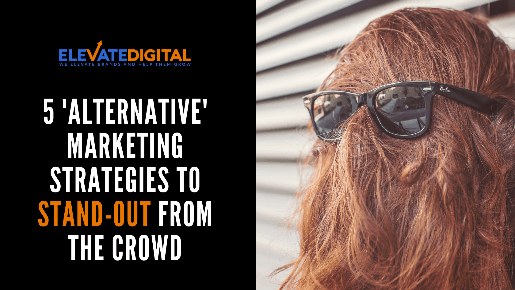 5 Alternative Marketing Strategies - Elevate Digital blog post image, chewbacca face